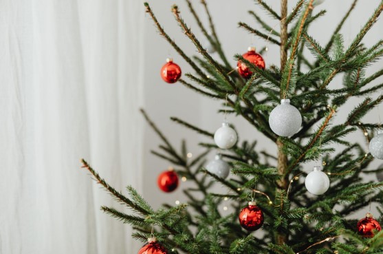 The Perfect Fit: Flocked Christmas Trees